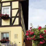 WW 4 h Zitzschewig 6615